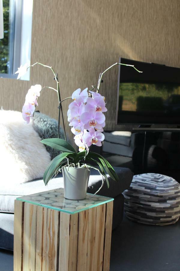 Table Et Chambre Particuliere Μον Εξωτερικό φωτογραφία